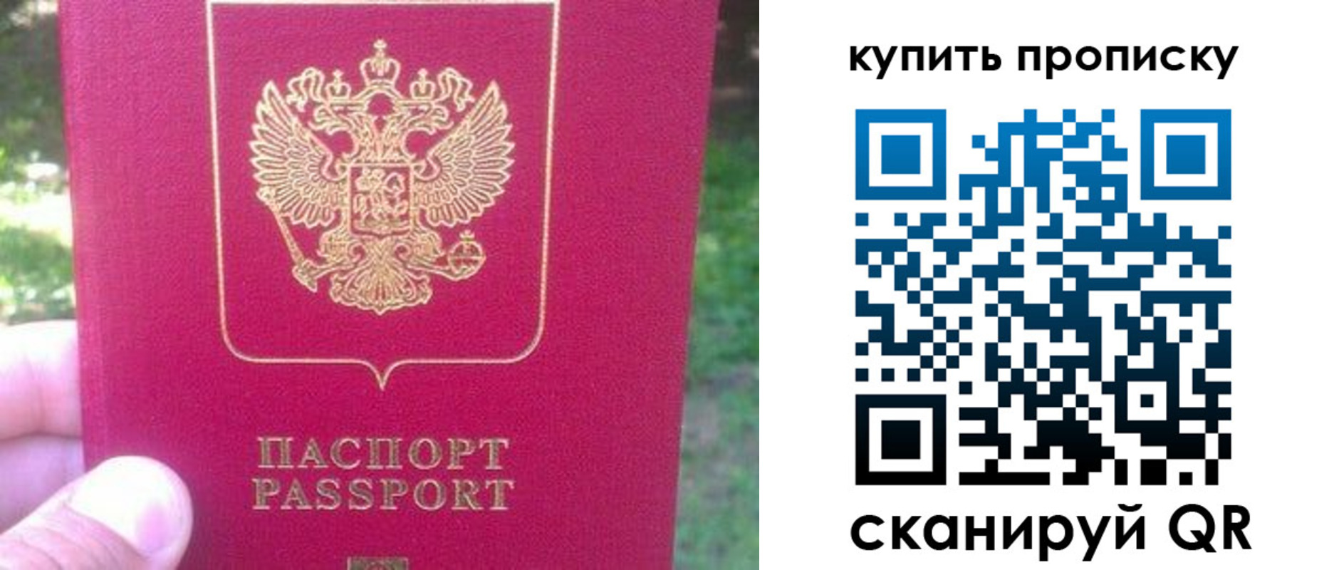 временная регистрация для школы в Волхове